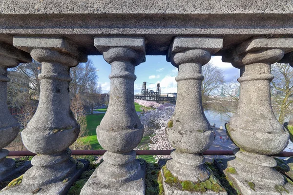 Cherry Blossom Trees Through the Stone Baluster — Stock Photo, Image