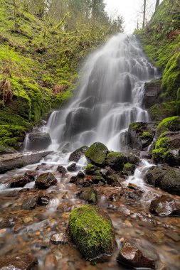Columbia River Gorge bahar Falls'ta peri