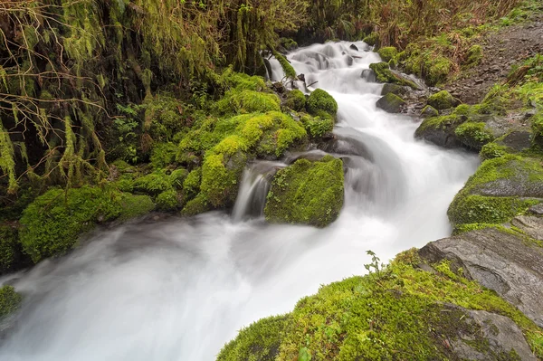 Wahkeena Creek in het voorjaar — Stockfoto