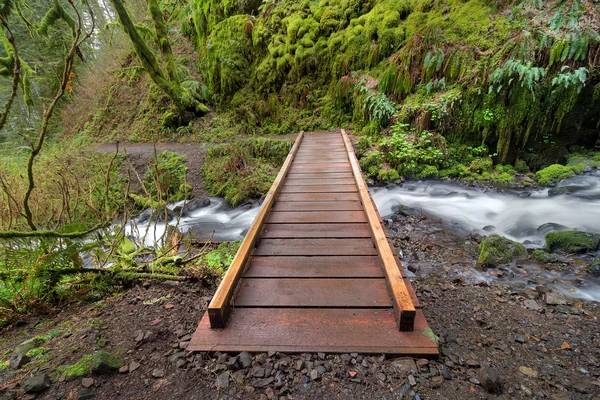 Pont en bois au-dessus du ruisseau Wahkeena — Photo