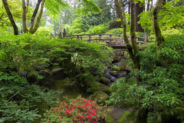 Japon bahçe köprü — Stok fotoğraf