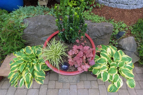 花园的后院容器花盆种植的顶视图 — 图库照片