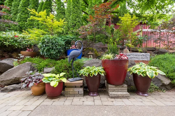 Aménagement paysager de jardin avec des plantes et pavés de pierre — Photo