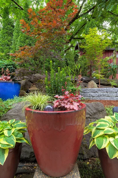 Jardin Arrière-cour Conteneur Pots plantation — Photo