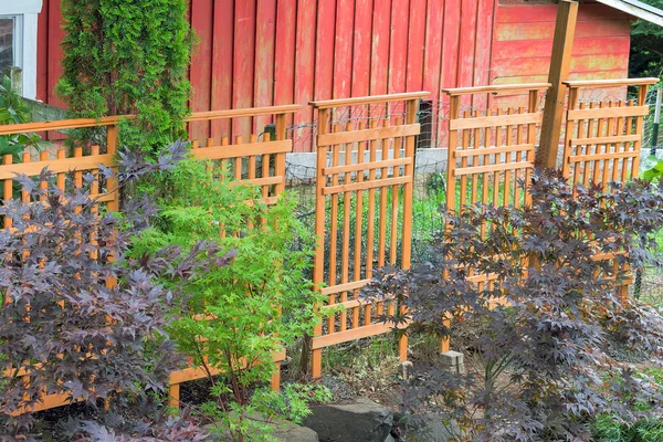 Trellis de madeira que cobre a esgrima vermelha do celeiro — Fotografia de Stock