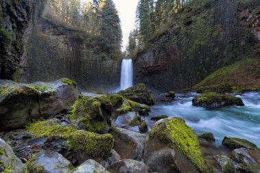 Abiqua Falls in Oregon State clipart