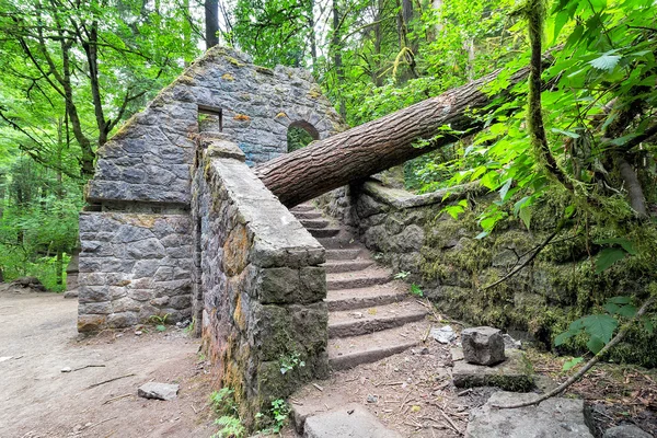 Εγκαταλελειμμένο πέτρινο σπίτι στο Wildwood μονοπάτι — Φωτογραφία Αρχείου