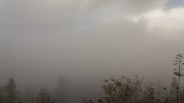 Columbia River Gorge bir sisli gün hızlı düşük beyaz bulutlar mavi gökyüzü ve sonbahar renkleri Portland Oregon Timelapse sisli bir günde 1080 p hareket ile