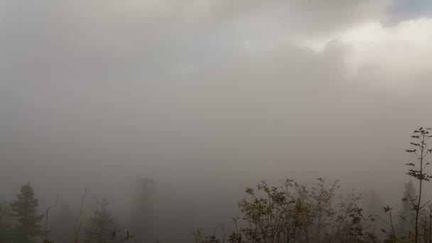 Ущелье реки Колумбия Один туманный день с быстро движущимися низкими белыми облаками Голубое небо и цвета осени Один туманный день в Портленде, штат Орегон Timelapse 1080p — стоковое видео