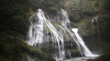 Panter Creek şelaleler Wind River Valley Skamania İlçesi Washington ile fışkıran su radyo sinyalleriyle iletilen sağlam 1080 p film kaydırma