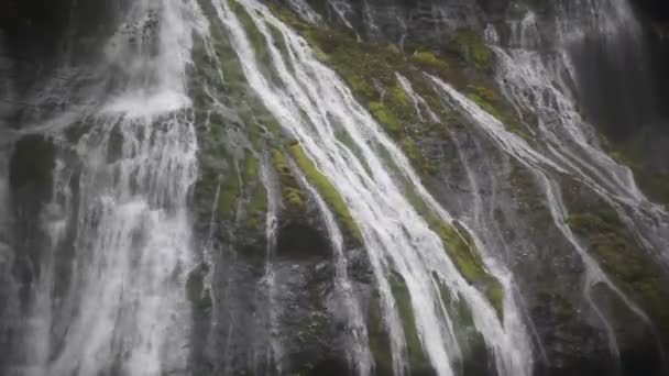 Zooming Out Filme de Panther Creek Cachoeiras em Wind River Valley Skamania County Washington com água Gushing Audio Sound 1080p — Vídeo de Stock
