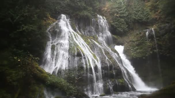 Panoráma film a párduc Creek vízesések a Wind River Valley Skamania megyei Washington tör víz Audio hang 1080p — Stock videók
