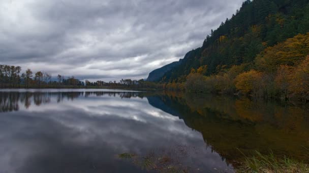 Time Lapse film av Benson sjön med rörliga moln höstfärger och vatten eftertanke på en stormig dag hösten Portland Oregon 10080p — Stockvideo