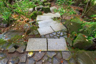 Japon bahçe taş adımları