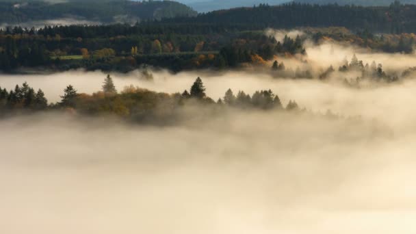 Time Lapse Película de manta de niebla rodante gruesa sobre el bosque nacional Mount Hood y el río Sandy en colorida temporada de otoño desde el mirador Jonsrud en Beautiful Oregon 1080p — Vídeos de Stock