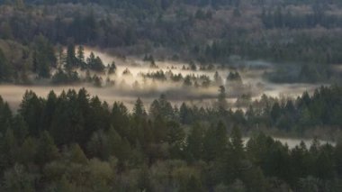 Zaman atlamalı film sis çarpık Sandy River bir erken kış sabahı Oregon boyunca hareketli
