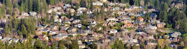 Casas residenciales en los suburbios de América del Norte — Foto de Stock