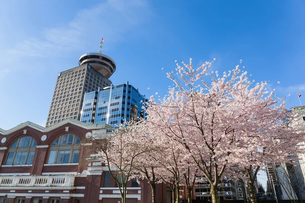 Springtime in Vancouver BC — Stock Photo, Image