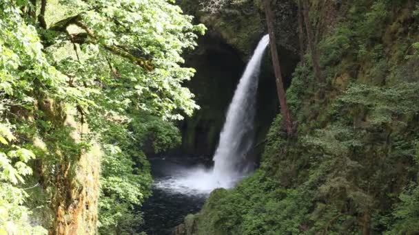 Movie of Metlako Falls on Eagle Creek in the Columbia River Gorge in Hood River County, Oregon Estados Unidos 1080p — Vídeo de Stock