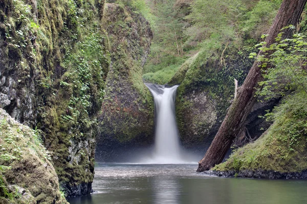 Punch Bowl Falls på Eagle Creek närbild — Stockfoto