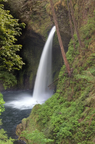 Metlako Falls in het voorjaar van — Stockfoto