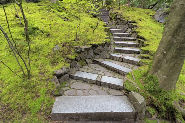 Stone portaikko vaiheet japanilainen puutarha — kuvapankkivalokuva