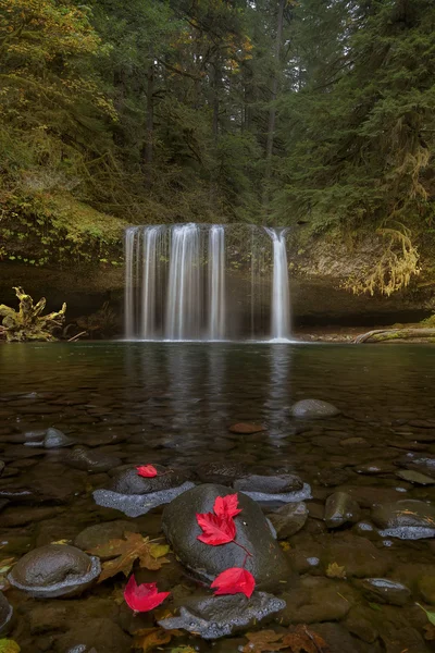 Upper Butte Creek Falls en otoño — Foto de Stock