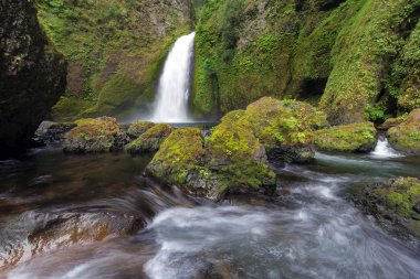 Wahclella Falls Oregon Columbia River Gorge boyunca