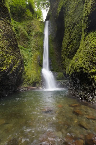 Lower Oneonta Falls in Oregon — Stock Photo, Image
