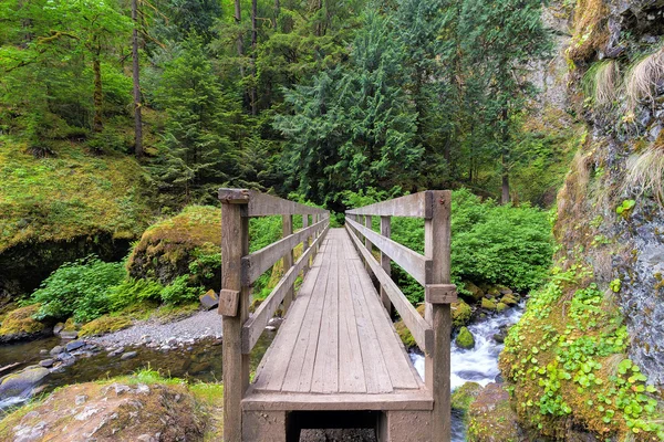 Fa láb Bridge Over Creek Oregon — Stock Fotó