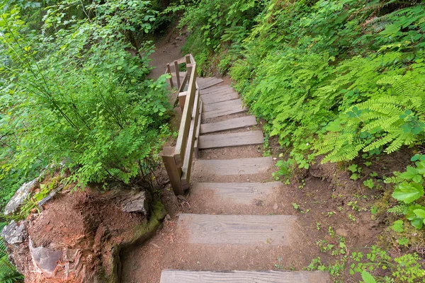 Gångbro till Wahclella Falls i Oregon — Stockfoto