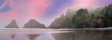 Heceta kafa feneri State Park Panorama