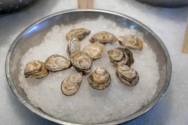 Fresh Whole Oysters in Shell on Ice — Stock Photo, Image