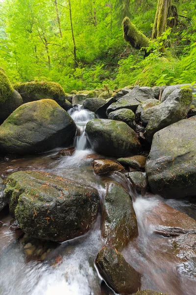 Ruckel Creek in Columbia River Gorge — Stock Photo, Image