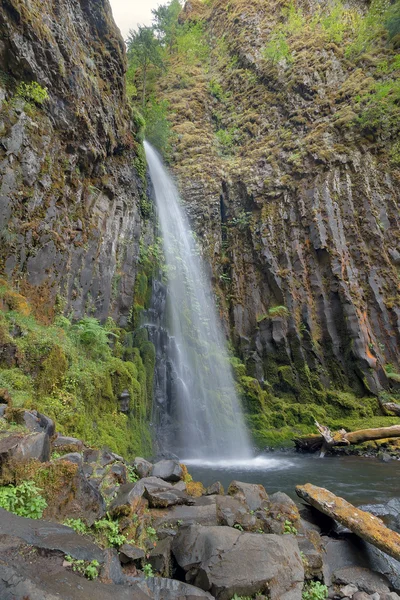 Dry Creek Falls i Columbia River Gorge vertikal — Stockfoto