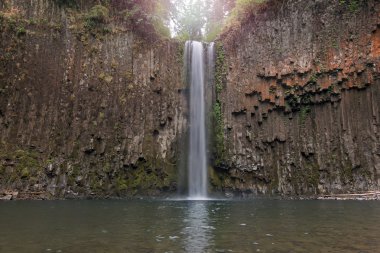 Abiqua Falls Oregon Closeup içinde