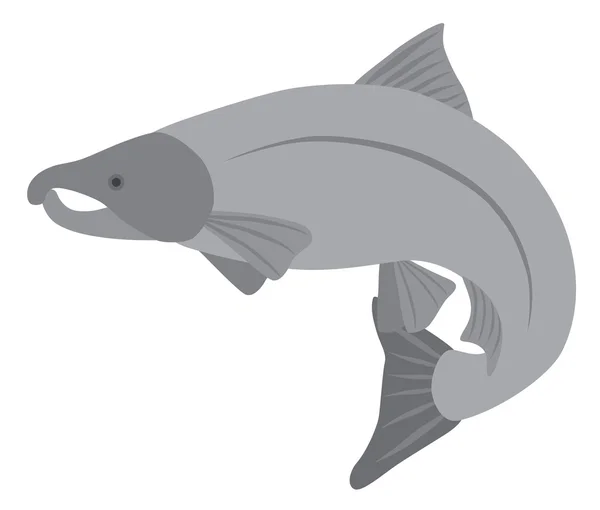 Coho Salmon Grayscale Vector Illustration — Stock Vector