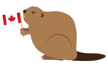 Kanada Beaver vektör çizim renk