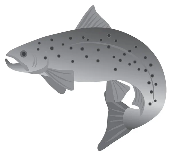 Brook Trout Grayscale Vector Ilustração —  Vetores de Stock