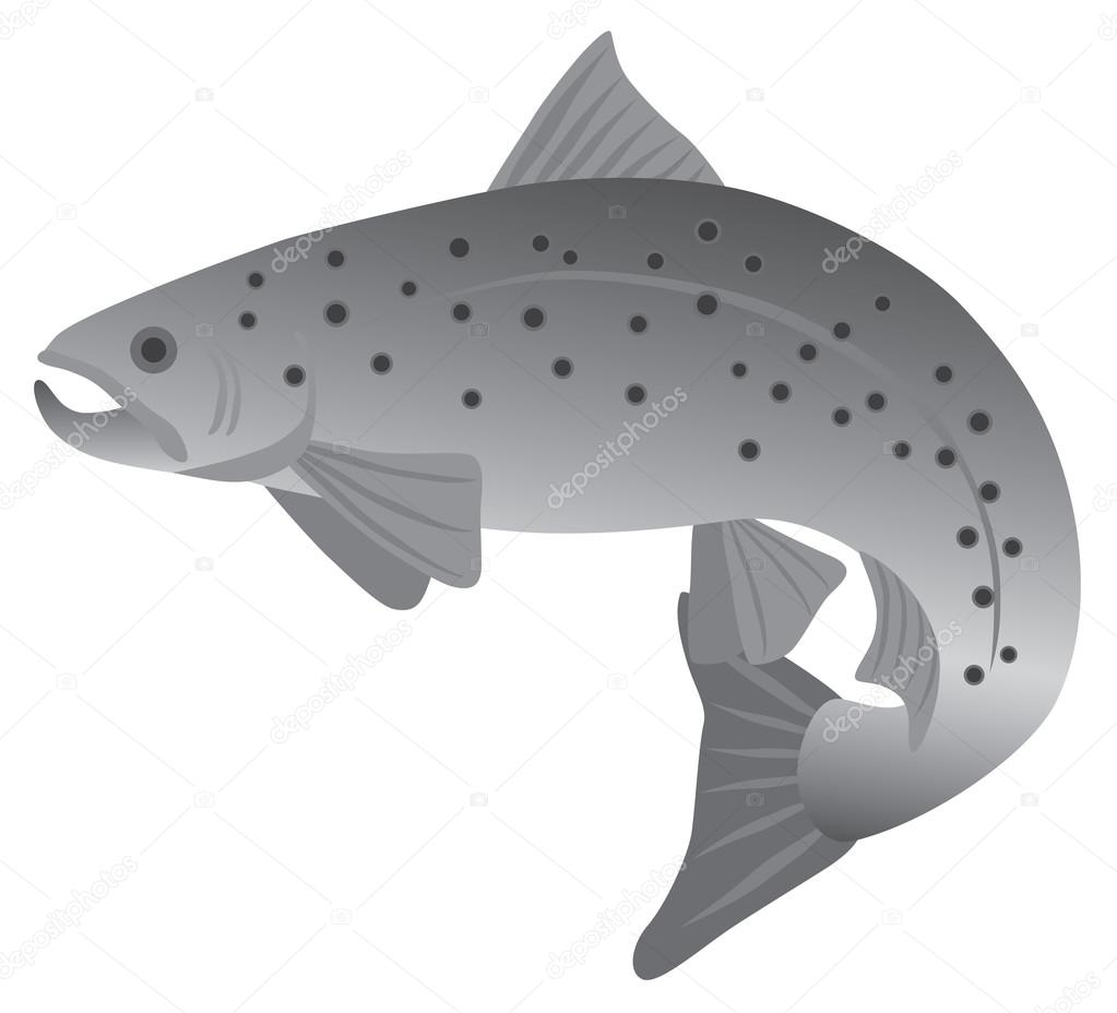 Brook Trout Grayscale Vector Illustration