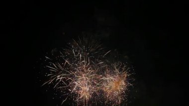 Yüksek tanımlı Film Festival kutlama olay 1920 x 1080 sırasında gece gökyüzünde renkli havai fişek