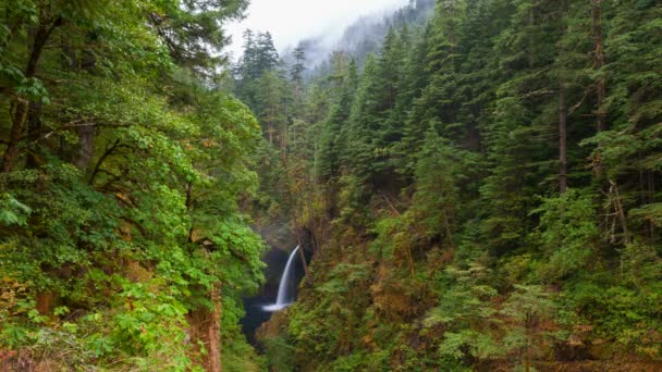 Ultra wysokiej rozdzielczości 4k film upływu czasu z Metlako spada w Eagle Creek wzdłuż rzeki Columbia Gorge w Oregon 4096 x 2304 — Wideo stockowe