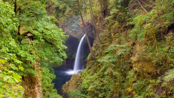 Ultra alta definición UHD 4k Time Lapse of Metlako Falls en Eagle Creek a lo largo de Columbia River Gorge en Oregon 4096x2304 — Vídeo de stock