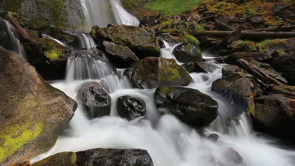 Filme de Exposição Longa de Alta Definição com Áudio de Água Som de Quedas Creek Falls no Condado de Skamania Estado de Washington no Pacífico Cênico Noroeste 192 — Vídeo de Stock