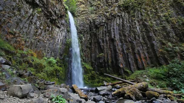 Film s vysokým rozlišením s vodou Audio zvuk Dry Creek Falls v kaskádě uzamkne Oregon 1080p — Stock video