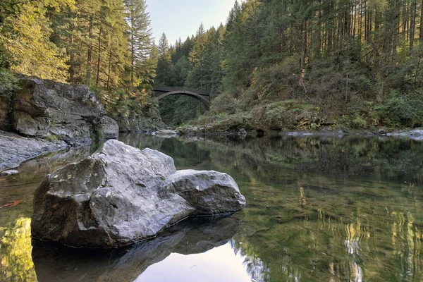 Μονότοξο γεφύρι στο Moulton Falls Park — Φωτογραφία Αρχείου