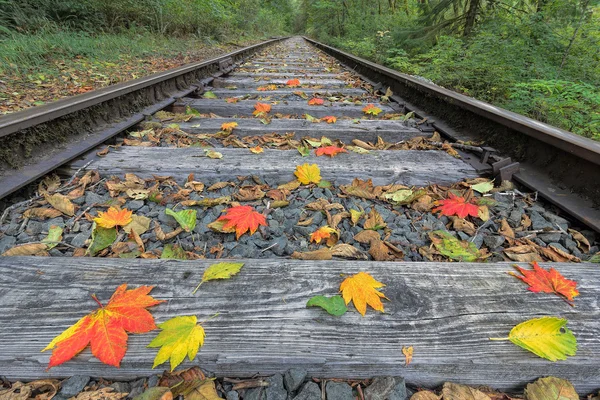 铁轨与秋天的落叶 — 图库照片