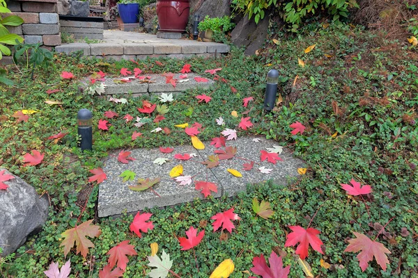 Concrete Stone Steps with Fall Maple Leaves — Stock Photo, Image