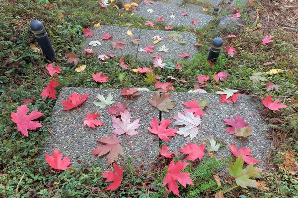 Pebbled Stone Steps with Fall Maple Leaves — Stock Photo, Image