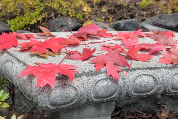 Hojas de arce rojo en banco de piedra en otoño — Foto de Stock